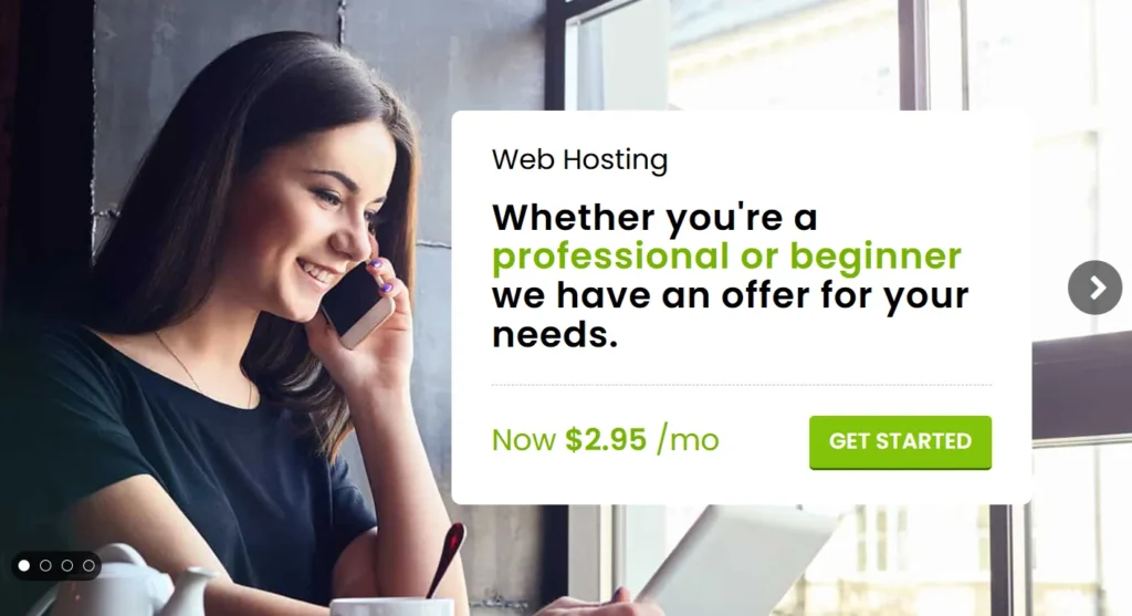 Budget Web Hosting for Beginners: Affordable hosting solutions for new website owners and small businesses.